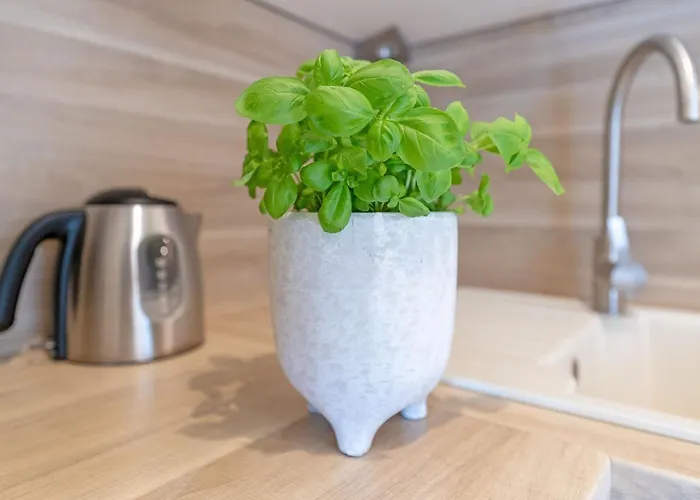 Appartamento Michel *